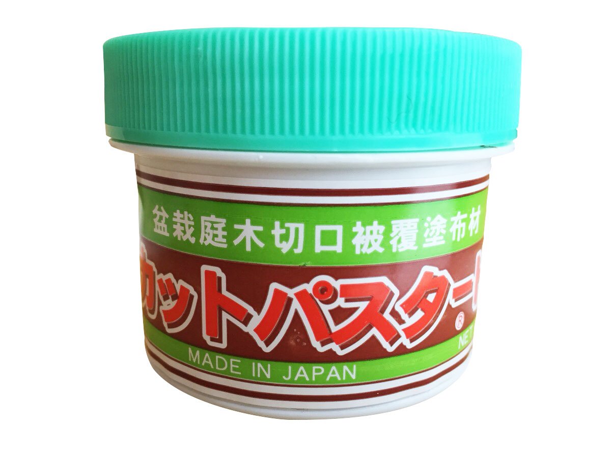 Cut Paste - Brown Color