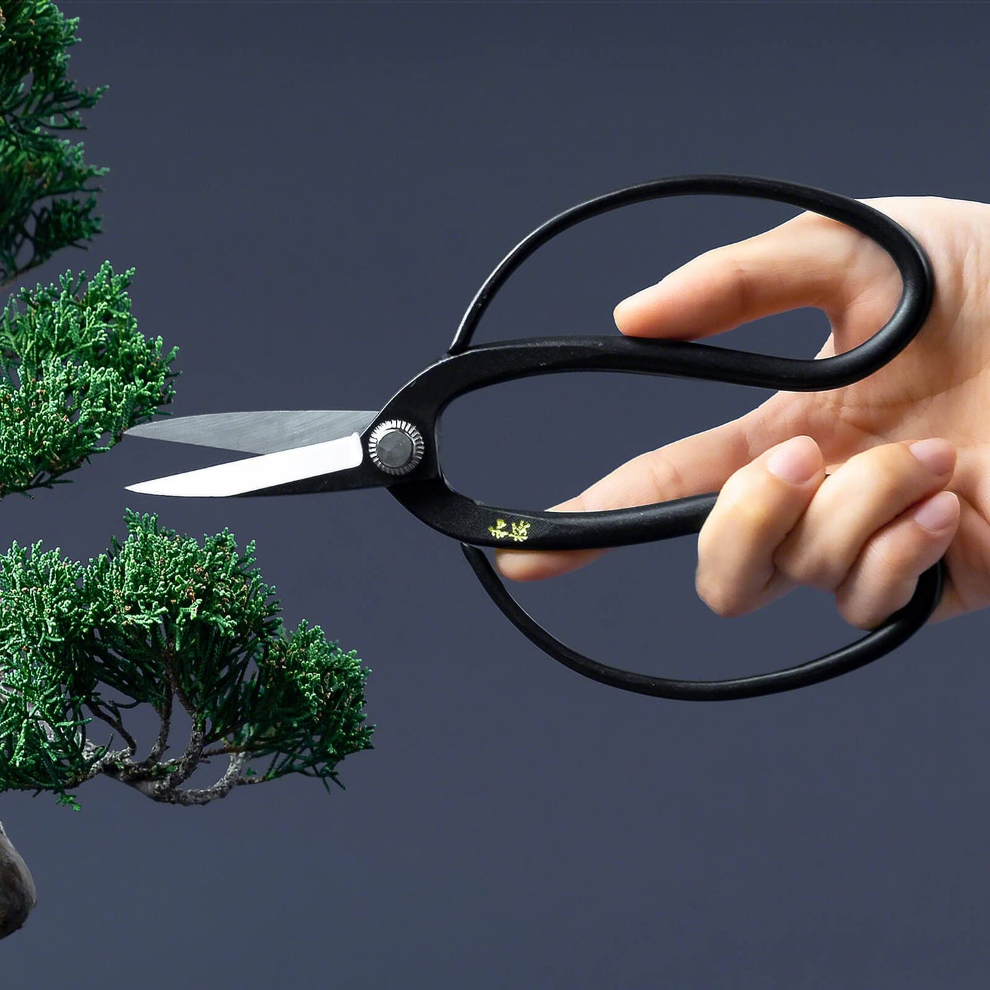 Traditional Japanese Bonsai Scissors 7 inch