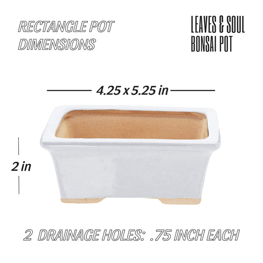 5" White Rectangle Bonsai Pot