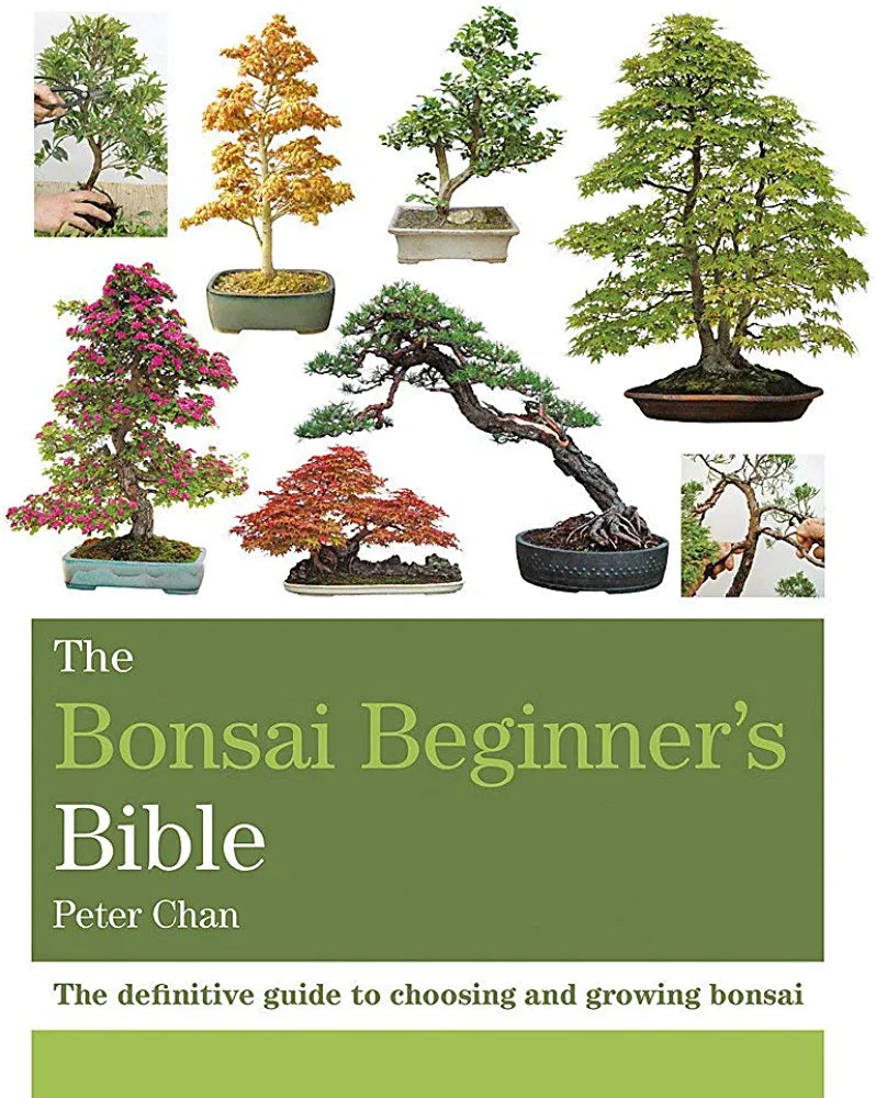 The Bonsai Beginner's Bible
- Peter Chan - Paperback Book