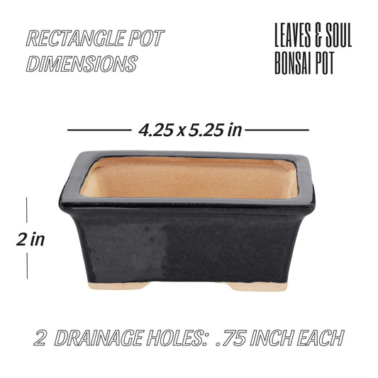5" Black Rectangle Bonsai Pot