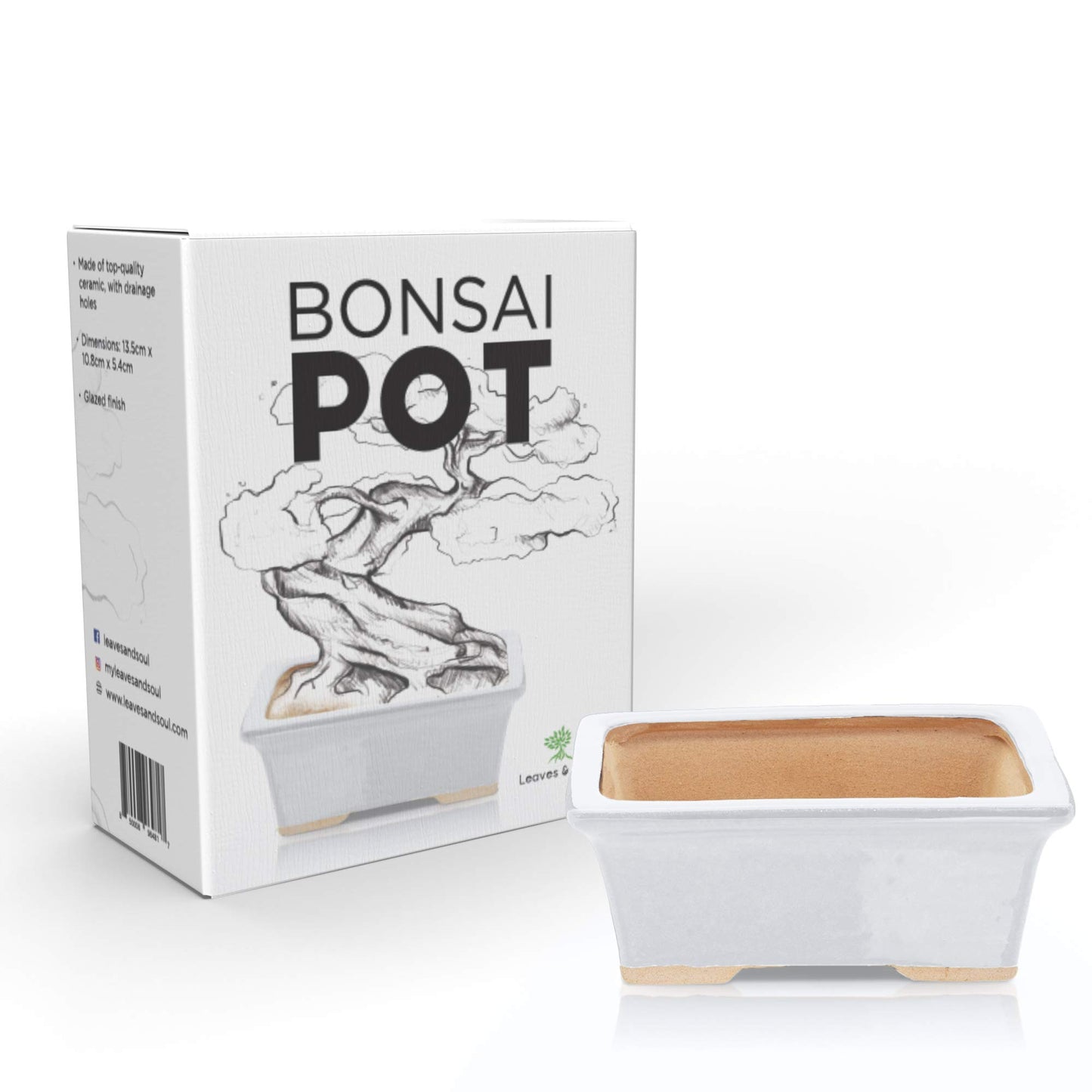5" White Rectangle Bonsai Pot