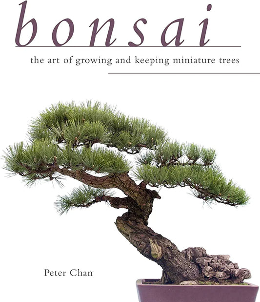 Bonsai: The Art of Growing and Keeping Miniature Trees Paperback - Peter Chan